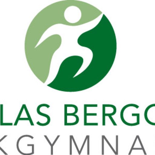 Logotype Nichlas Bergqvist sjukgymnastik